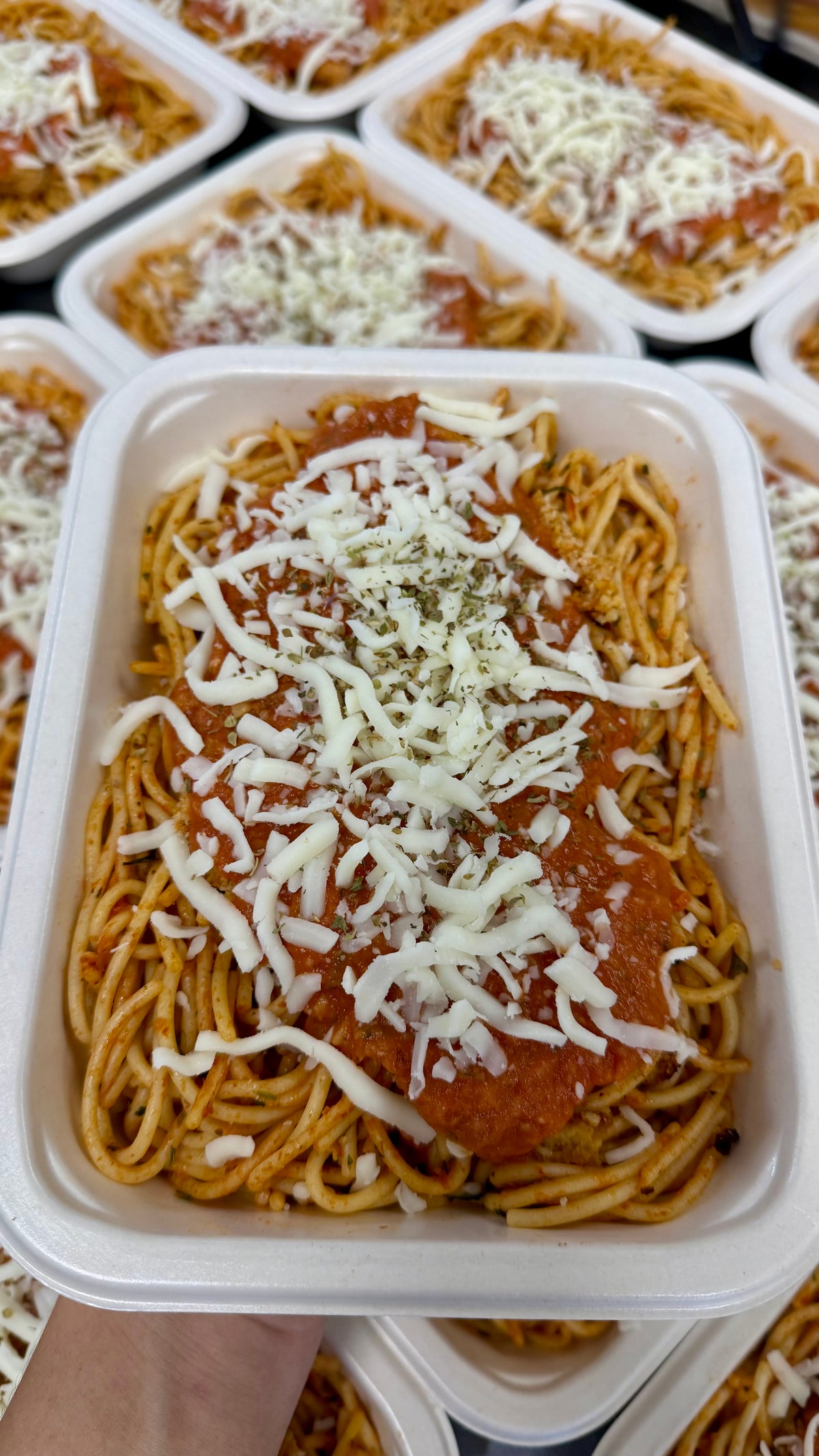 BEEF PARMIGIANA WITH SPAGHETTI